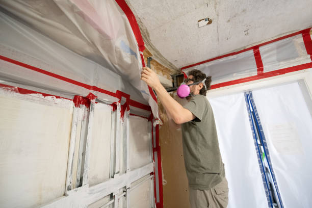 Best Crawl Space Mold Remediation  in Silver Lake, FL