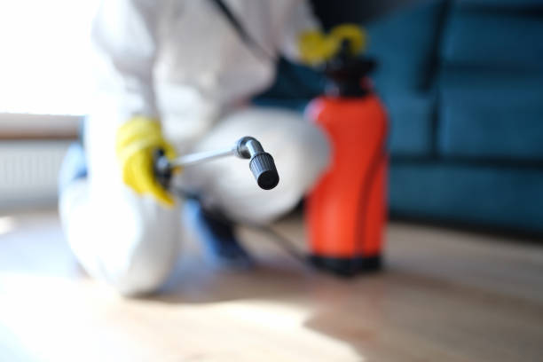 Best Airborne Mold Testing  in Silver Lake, FL