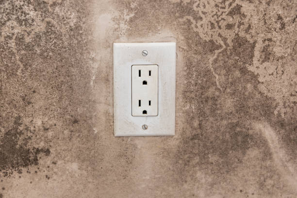 Forensic Mold Investigation in Silver Lake, FL